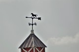 Equine Weathervane