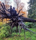 NATURAL SCULPTURE