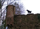 Neckarsteinach Castle with Dog