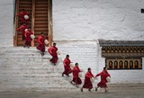 Monk with a Water Jug.