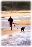 Beach Strolling