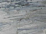 Icy puddle (2)
