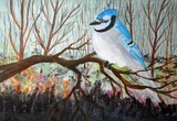 Blue Jay