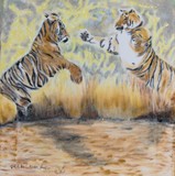 Two tigers fighting