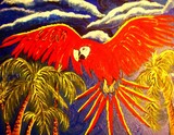 Macaw Parrot in Flight