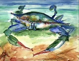 Tybee blue crab