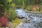 Rock Creek, blue ribbon Trout stream