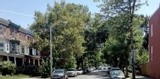 Trees, Cars, And Homes