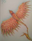 Phoenix bird