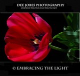 by DEE JOBES PHOTOGRAPHY