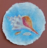 Conch Shell Watercolor 1