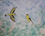 Goldfinches