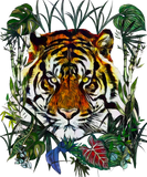 Tiger Jungle 