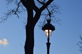 STREET LAMP ..