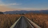 Marsh Walkway at Dawn - October 2019