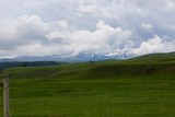 Montana in the Spring 