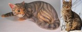by Custom Pet Sculptures by Circe