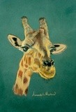 Giraffe in Pastel