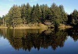 Pond Reflection - Bandon Dunes, Oregon