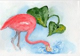 Flamingo watercolor 1