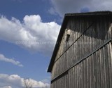 The Barn