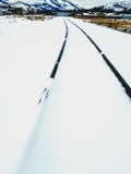 snowy tracks