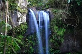 Tambourine Falls