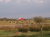 Oklahoma Red Barn