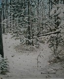 Ozark Woods in Snow #4