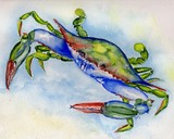 Tybee Blue Crab watercolor