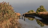 Alhambra Creek to the Bay Tide Out - October 2018
