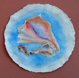 Conch Shell Watercolor 3