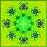Spider Web Mandala (Slime Green)