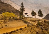 Road to Thimphu