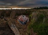 Abandoned in the Marsh - June 2020