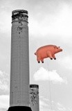 Pink Floyd Pig at Battersea Power Station