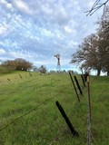 Windmill at the Forest Edge