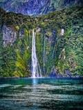 Milford Sounds Fall