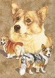 Corgi Alteration