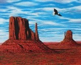 Eagle in Monument Valley