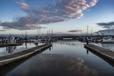 Marina with Five Geese at Dawn - May 2019