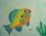 fish in the water 3