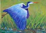 Great Blue Heron Mini series #2