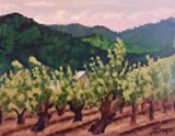 Sonoma Vines