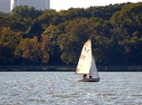 Late Day Sail