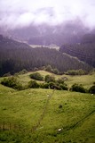 Rural Pastures North Island NZ