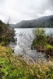 Blue Lake Rotorua NZ