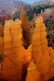 Break of Day ~ Bryce Canyon