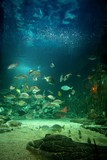 Underwater World