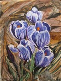 Crocus #2